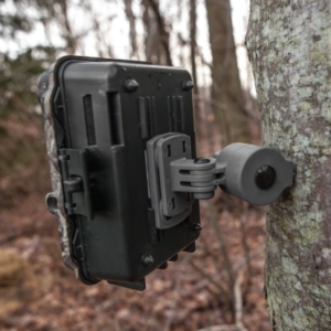 Hawk Hunting trail cameras