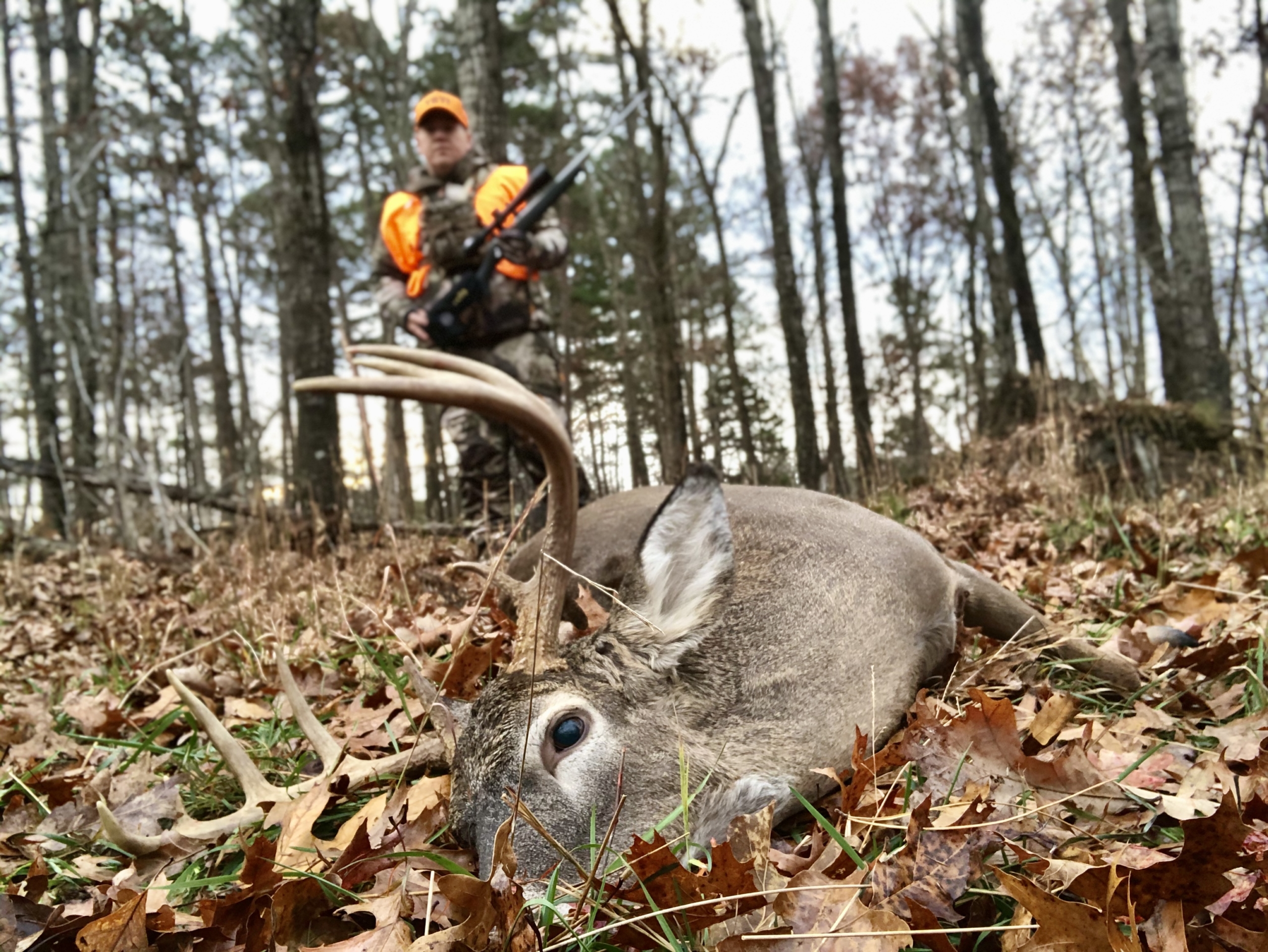 All Day Sits Pay Off During The Rut – Hawk Treestands